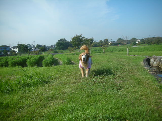 c0017311_10205956.jpg