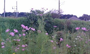 f0068511_2012235.jpg