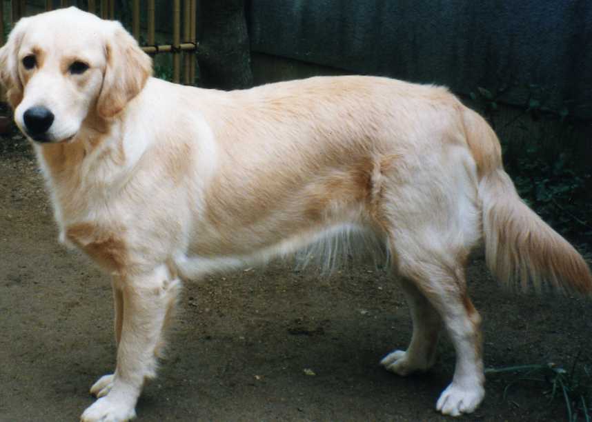 f0127523_14575647.jpg