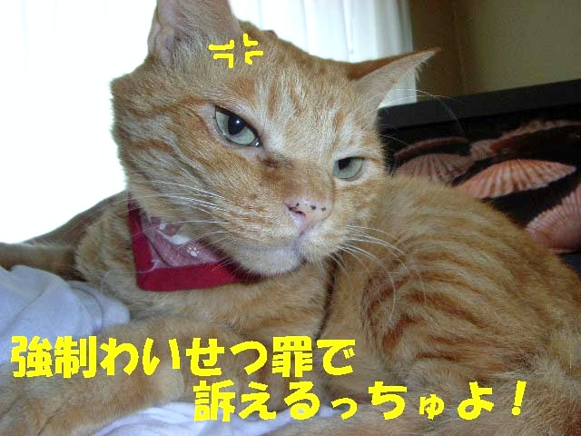 d0081025_1923167.jpg