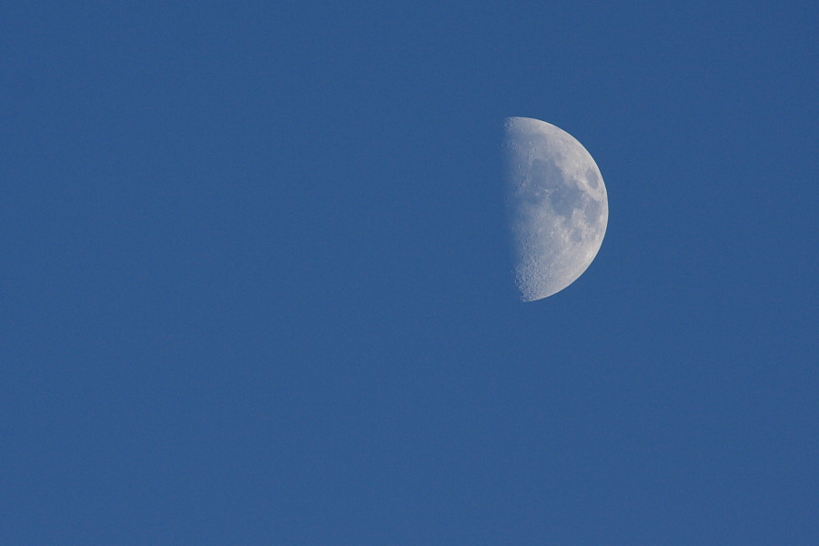 c0131035_2022661.jpg