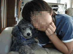 c0136736_13302993.gif