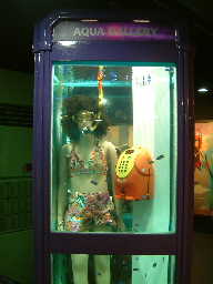 c0023937_23134070.jpg