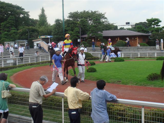e0067640_2381119.jpg