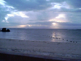 d0001248_184547.jpg