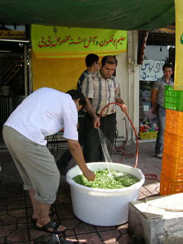 b0006449_1419527.jpg