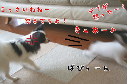 d0013149_7241648.jpg