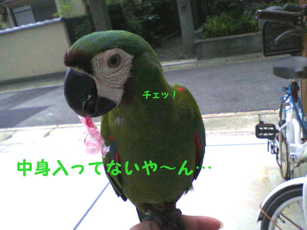f0132055_9301716.jpg