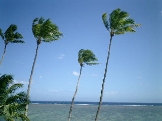 f0045956_22495468.jpg
