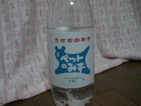 f0104057_2041051.jpg
