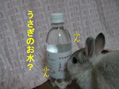 f0104057_20423618.jpg