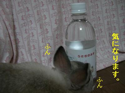 f0104057_20443057.jpg