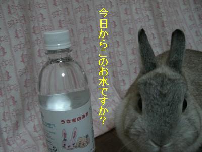 f0104057_20445418.jpg