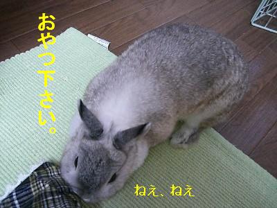 f0104057_20494556.jpg