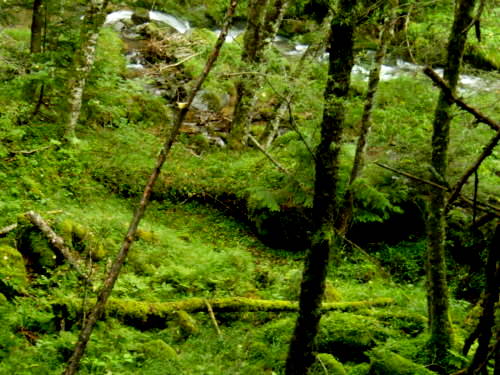 b0050067_07116.jpg