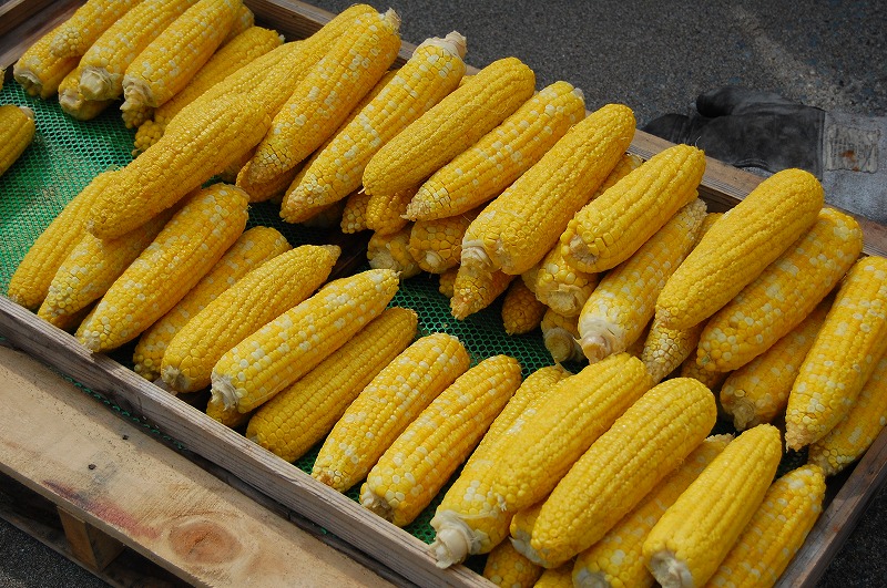 c0048667_052395.jpg