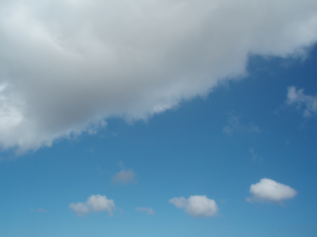 a0103569_22142998.jpg