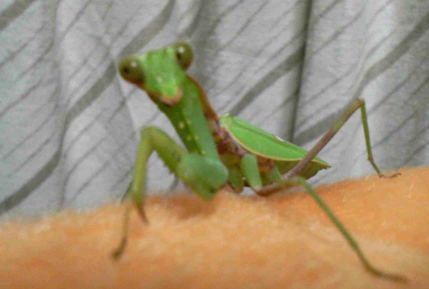 f0117673_2029243.jpg