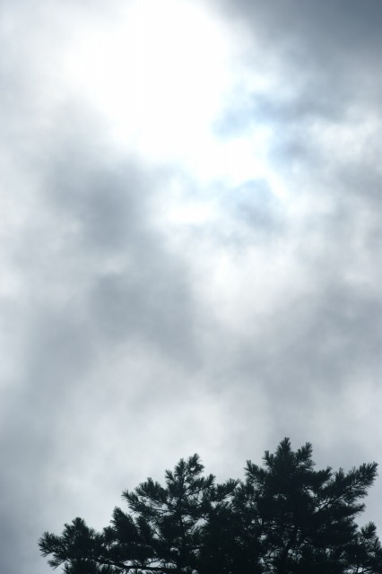 d0079278_15442845.jpg