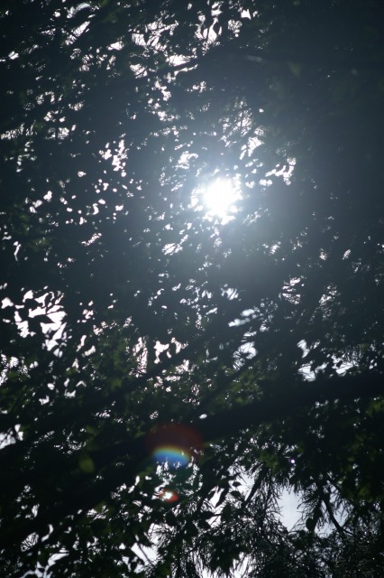 d0079278_1615761.jpg