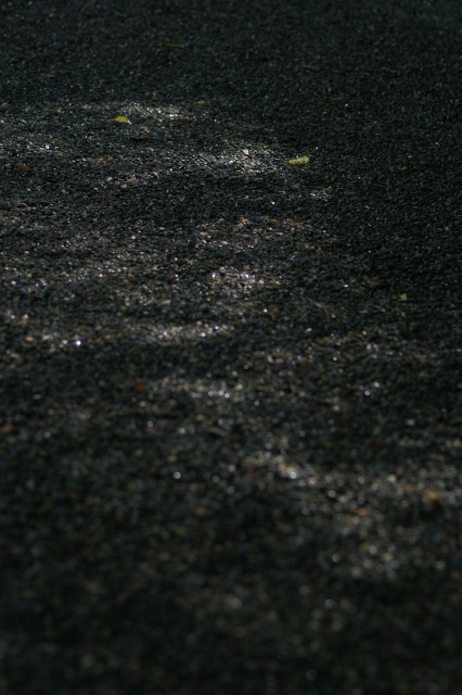 d0079278_162577.jpg