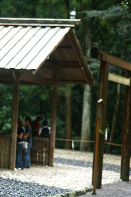 d0079278_167444.jpg