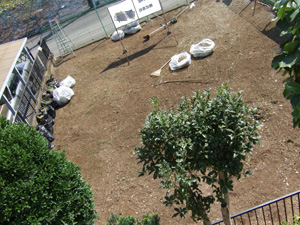 a0105480_15335092.jpg