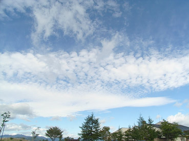 c0096393_22311395.jpg