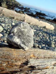 c0103793_6424994.jpg