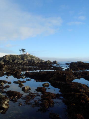 c0103793_6473333.jpg