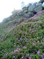c0103793_650166.jpg