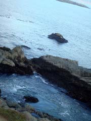 c0103793_6503256.jpg