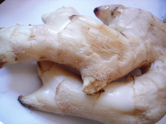 c0134893_1836564.jpg