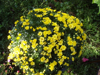f0130894_23203212.jpg
