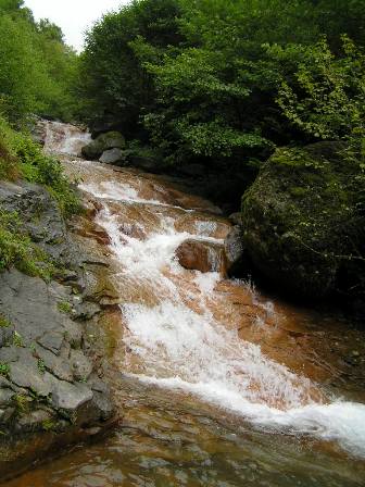c0034595_135822.jpg
