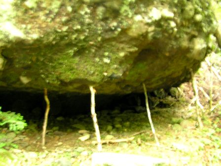 c0034595_13591917.jpg