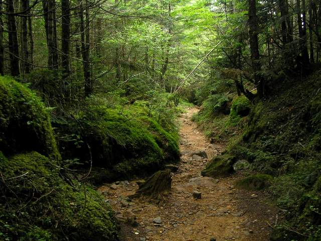 c0034595_1416296.jpg