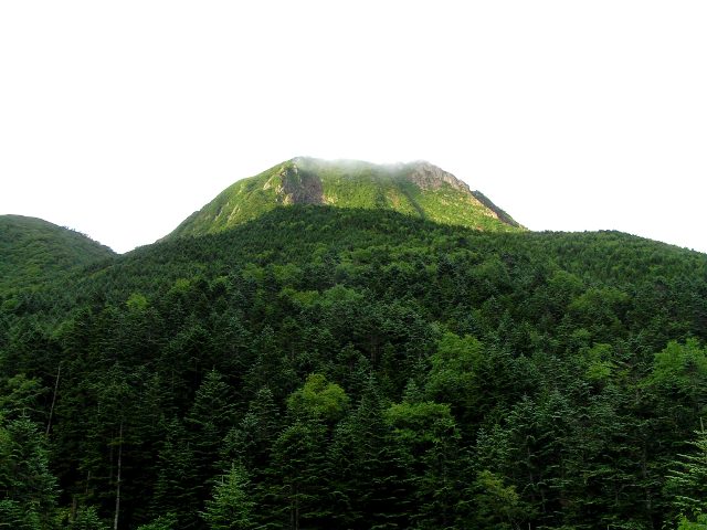 c0034595_1421456.jpg