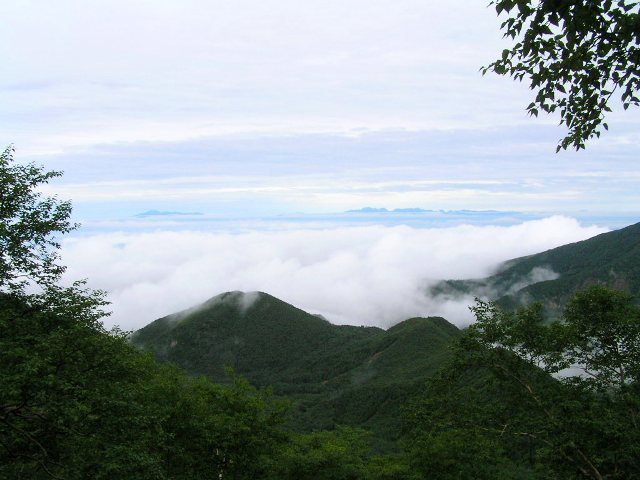 c0034595_143561.jpg