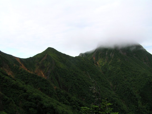 c0034595_1444742.jpg