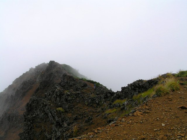 c0034595_1494678.jpg
