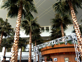 c0124998_7222442.jpg