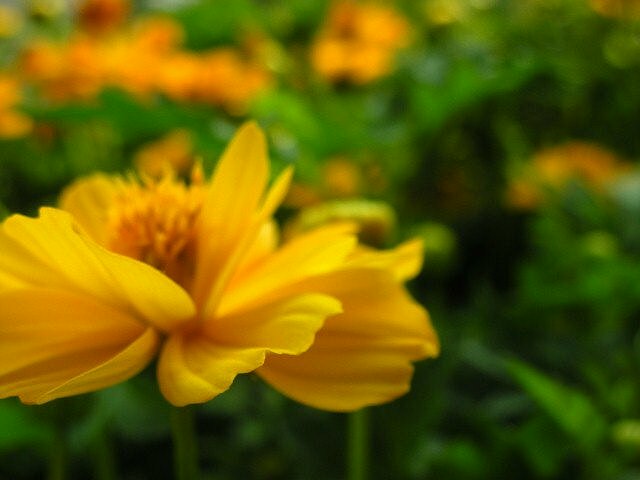 f0083400_172533100.jpg