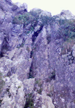 c0037103_12582987.jpg