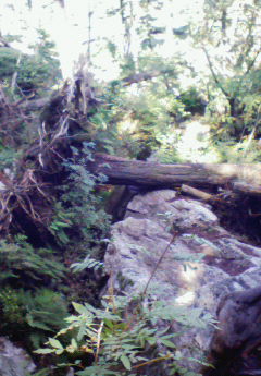 c0037103_12592034.jpg