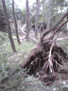 c0097806_13272157.jpg
