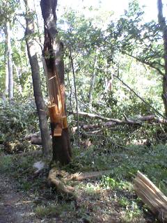c0097806_13275136.jpg
