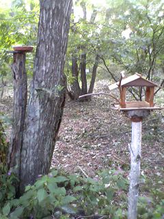 c0097806_21521615.jpg