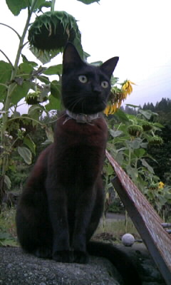 f0135908_23142631.jpg