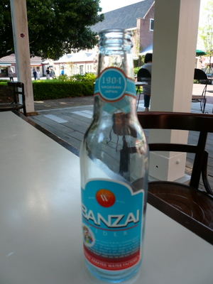 d0087418_11324748.jpg